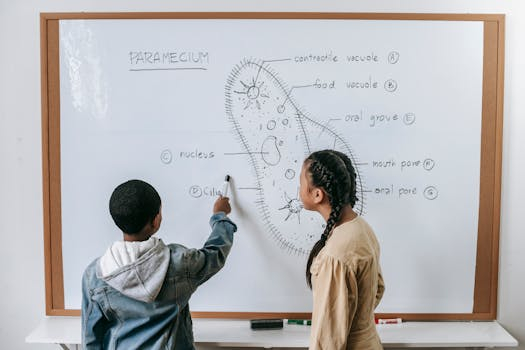 How Smart Classroom Analytics Transform Teaching Methods